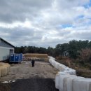 새들목장 이미지