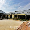 좌수영로 179번길 이미지