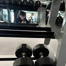 아이언불 덤벨 랙 포함 110만원 590 이미지
