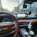 동두천 터틀 프렌즈 이미지