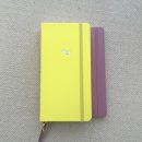 옐로우 | [리뷰] 만년필 유저의 정착지? '인생상점 불렛저널 ver.7' 옐로우 내돈내산 후기