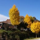 통일전망대 안보교육관 이미지