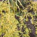 고요산책 이미지