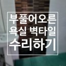 부풀어오른타일수리 욕실벽타일복원