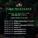 뮤지컬과 함께하는 Viva La Vida(인생이여 만세) | 2025 뮤지컬 프리다(FRIDA), 인생이여 만세!