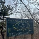 [24.02.10] 까치까치 설날은 무슨,, 술만 퍼먹었네 이번 설날도,,