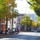 하멜과리사 네이버블로그