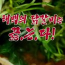 태백닭갈비 이미지