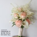 끌레르빌라