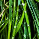 다듬다듬 이미지