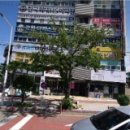 풍호초등학교사거리 이미지