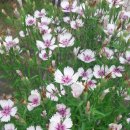 이화아트 이미지