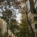 뉴연세치과의원 이미지