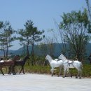 부여백제(공주)휴게소 이미지