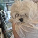 앙꼬네 미용실 이미지