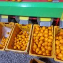 주현농장 이미지