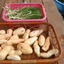 명품보쌈 이미지