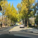 창원국제사격장 실내사격장 50M | 부산근교 가족 나들이 이색데이트 추천 창원 국제사격장(가격정보, 화약권총, 산탄총 후기)