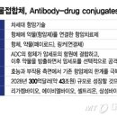 엄지인력 이미지