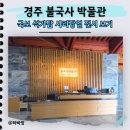 국보환경 | 경주 불국사 박물관, 국보 석가탑 사리장엄부터 매화 풍경까지 완벽 정리