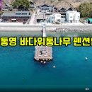 바다위통나무펜션씨그리메 티스토리