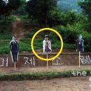 도리미디어 이미지