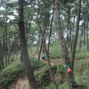 (주)동감투어