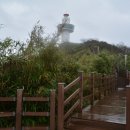 제323차&#39;25-10월 정기산행(영덕 블루로드B코스) 이미지