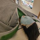 용화고길 | 용화동피부관리 아트리움에스테틱에서 피부관리 바디관리를 동시에! 힐링 대만족 후기