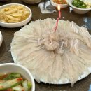 정이품세꼬시