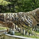 가평2태양광발전소 이미지