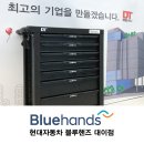 대이점블루핸즈