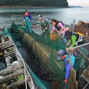 쌍근어촌체험마을 이미지