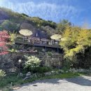 산에는꽃이피네 이미지