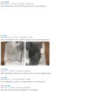 남성 기본 무지 모던 심플 베이직 반팔티 반팔 티셔츠 헤비면 코튼 면 라운드 슬림핏 캐주얼 봄 여름 가을