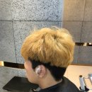 그레이헤어하우스 이미지