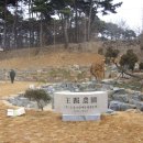그린세상 이미지