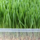 지재농장 이미지