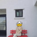 월정 땅콩집 이미지