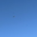 글리제977 이미지