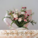 송현농장 네이버블로그