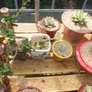 우암농장 이미지