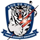 용인대쌍용태권도 이미지