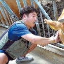 이종원 농장 이미지