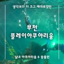 생각보다 더 크고 제대로였던 실내 아쿠아리움 &amp; 실내동물원 : 플레이아쿠아리움 부천 솔직후기 내돈내산