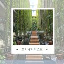 따뜻함이 머무는 자 | 오리나와 문팰리스 리조트 다다미방 후기 및 수영장 정보