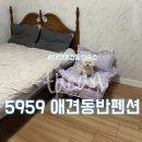 처음처럼 애견펜션 | 태안애견동반숙소 5959 애견동반펜션 태안 내돈내산 숙소 추천