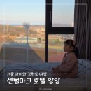 양양군 종합운동장 | 센텀마크호텔 양양 아기와 방문 후기 합리적인 양양 겨울 숙소