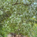 서울매점(서울요양병원) 이미지