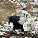 한지동 | 위클리를 찢고나온 제주도 여행기